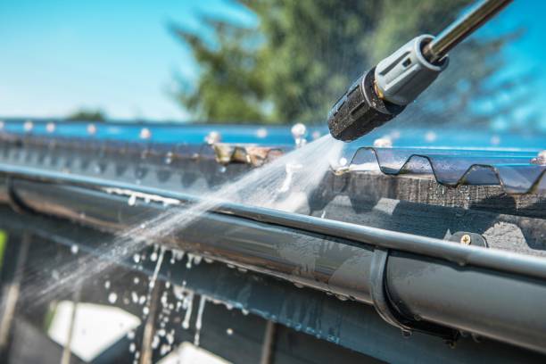 Best Roof Pressure Washing  in Kalkaska, MI