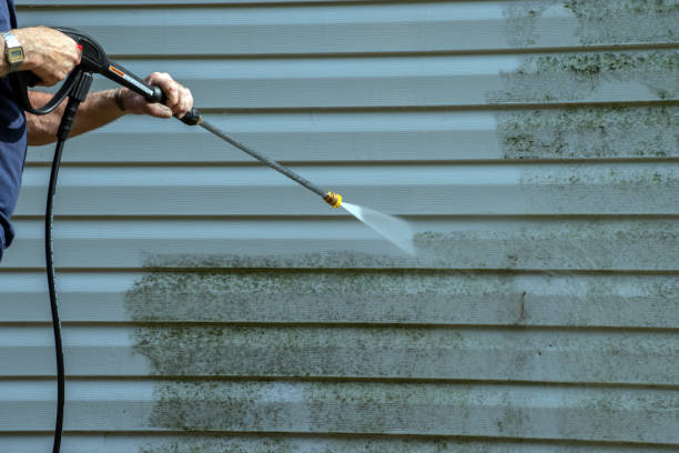 Best Sidewalk Pressure Washing  in Kalkaska, MI