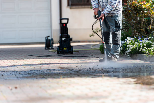 Best Exterior Home Cleaning  in Kalkaska, MI