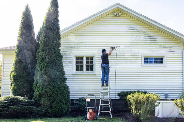 Best Deck Cleaning Services  in Kalkaska, MI