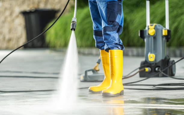 Best Roof Power Washing Services  in Kalkaska, MI