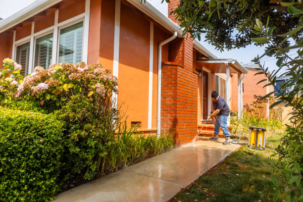 Best Power Washing Near Me  in Kalkaska, MI