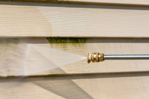 Best Affordable Power Washing  in Kalkaska, MI