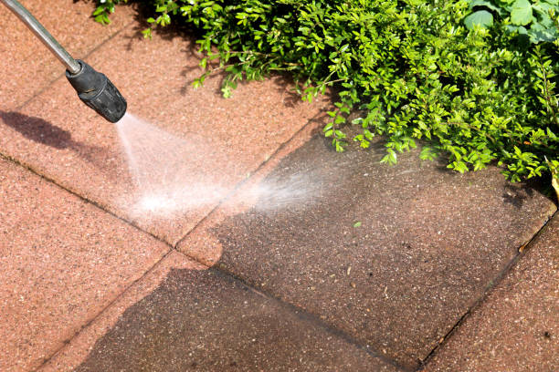 Best Affordable Pressure Washing  in Kalkaska, MI